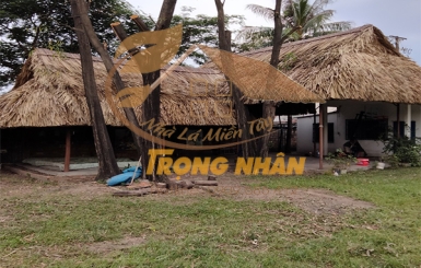 10+ Mẫu Thiết Kế Chòi Lá Đẹp | Nhà Lá Miền Tây