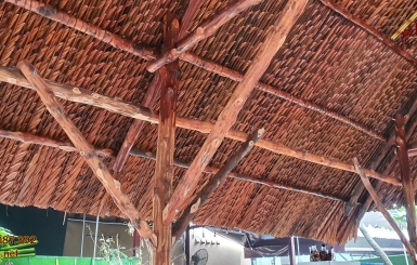 Ứng dụng của cây đước trong thi công chòi mái lá