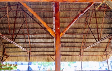 Cây đước có tác dụng gì trong thi công nhà chòi mái lá?
