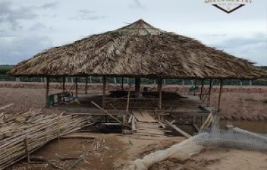 Đơn Vị Thi Công Chòi Lá Cafe Đẹp, Uy Tín | Nhà Lá Miền Tây