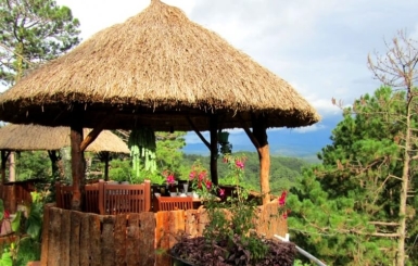 Cách lợp lá cọ đúng kỹ thuật, bền đẹp theo thời gian