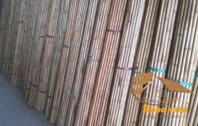 Địa chỉ mua bán tre chất lượng, đảm bảo uy tín tại Nhà Lá Miền Tây