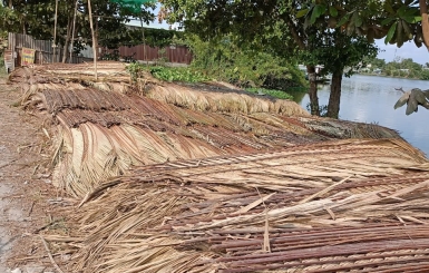 Giá lá dừa lợp nhà trọn gói chi phí vật tư và nhân công chi tiết