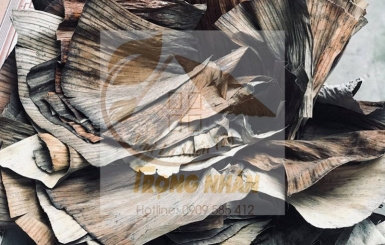 Lá Chuối Khô Không Hề Vô Dụng