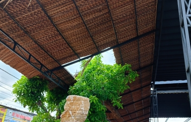 Cách lợp mái lá dừa bền đẹp, chống dột hiệu quả