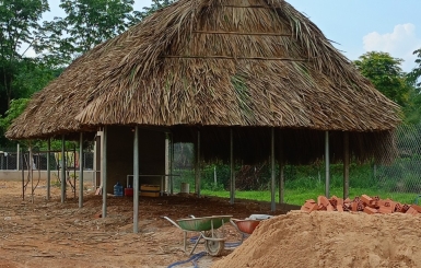 Cách đan lá dừa lợp mái đẹp, bền và đúng kỹ thuật