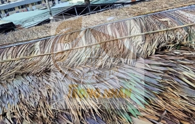 Cơ sở bán lá dừa nước lợp nhà uy tín chất lượng