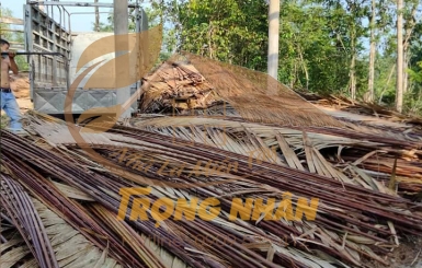 Cơ Sở Thi Công Nhà Chòi Lá Dừa Nước Chất Lượng | Nhà Lá Miền Tây