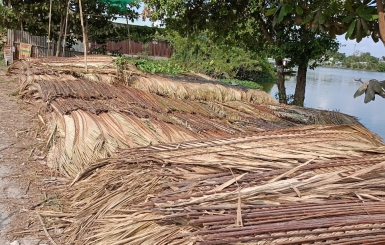 Mua lá dừa lợp nhà ở đâu uy tín, chất lượng giao hàng TPHCM?