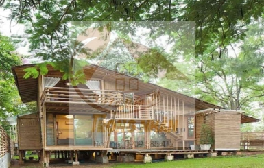 Những mẫu thiết nhà tre đẹp mang phong cách ấn tượng