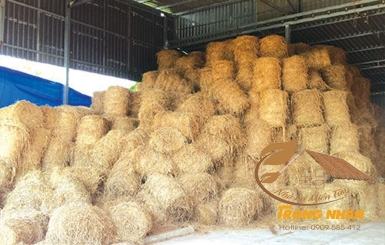 Địa chỉ cung cấp rơm cuộn uy tín, giá tốt nhất hiện nay