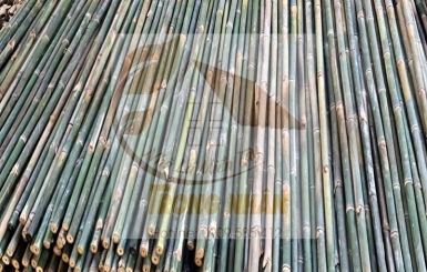 Cơ Sở Bán Cây Tầm Vông Giá Rẻ Chất Lượng | Nhà Lá Miền Tây