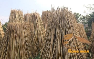 Cây Tre Khô Được Con Người Ứng Dụng Ra Sao?