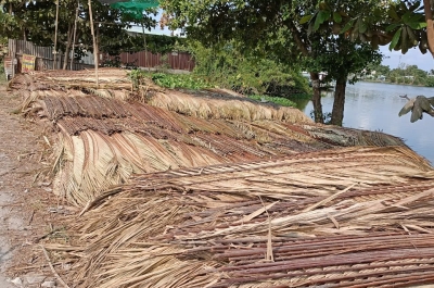 Giá lá dừa lợp nhà trọn gói chi phí vật tư và nhân công chi tiết