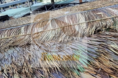 Cơ sở bán lá dừa nước lợp nhà uy tín chất lượng