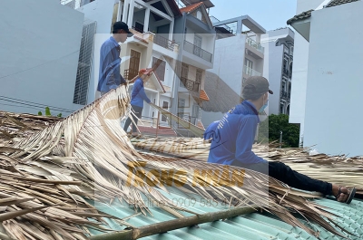 Lợp Lá Dừa Chống Nóng Mái Tôn - Giải Nhiệt Hiệu Quả