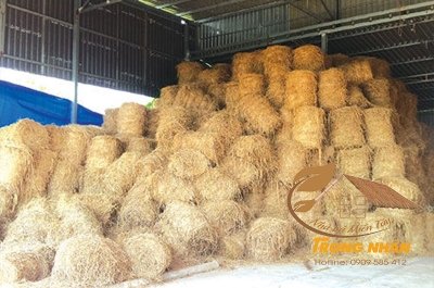 Địa chỉ cung cấp rơm cuộn uy tín, giá tốt nhất hiện nay