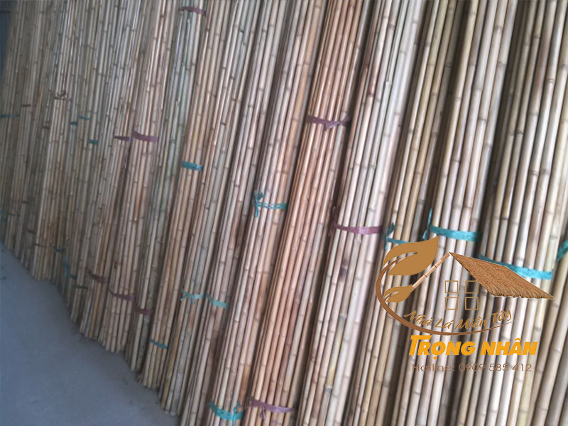 Đặc điểm của cây tre 