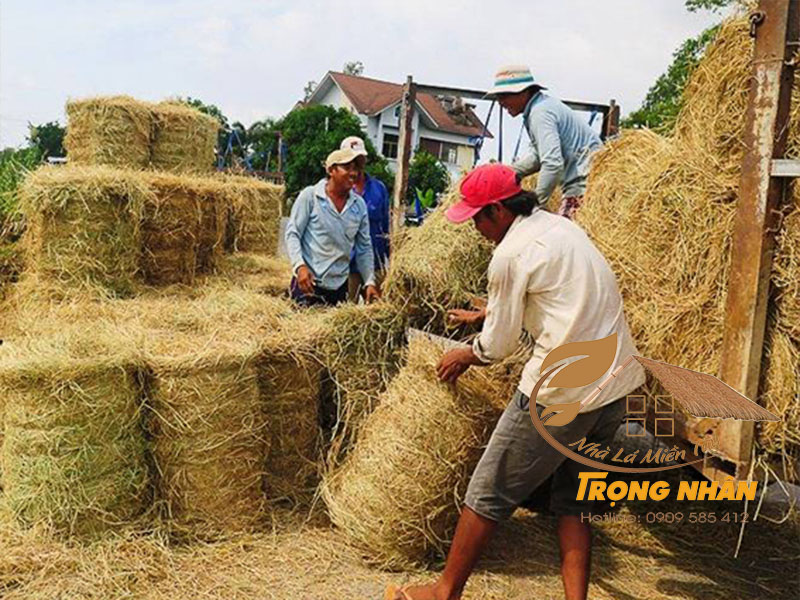 Địa chỉ bán rơm cuộn uy tín, giá tốt | Nhà Lá Miền Tây