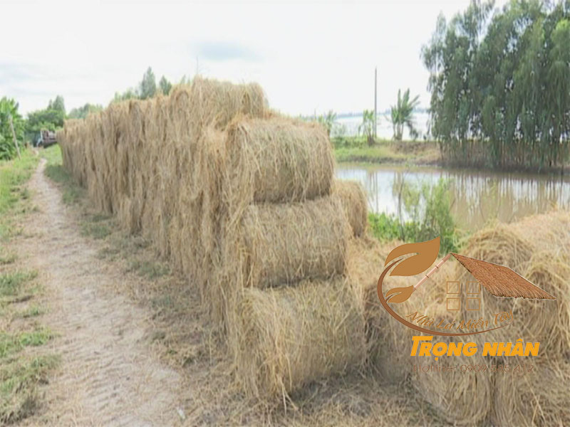 Đặc điểm rơm cuộn