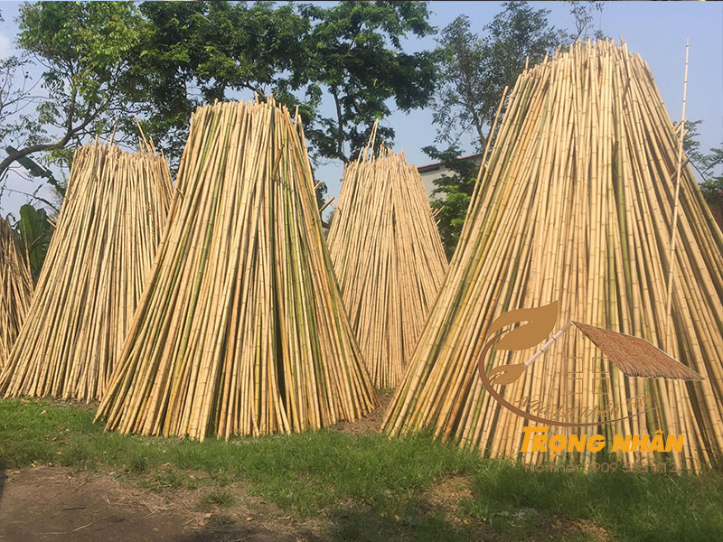 Những ưu điểm của vật liệu tre nứa