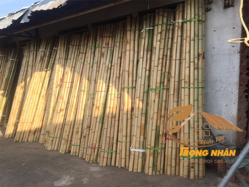 Giá tre nứa nguyên liệu 