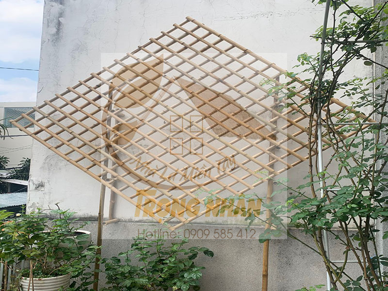 Tận dụng cây tre khô làm giàn trồng cây