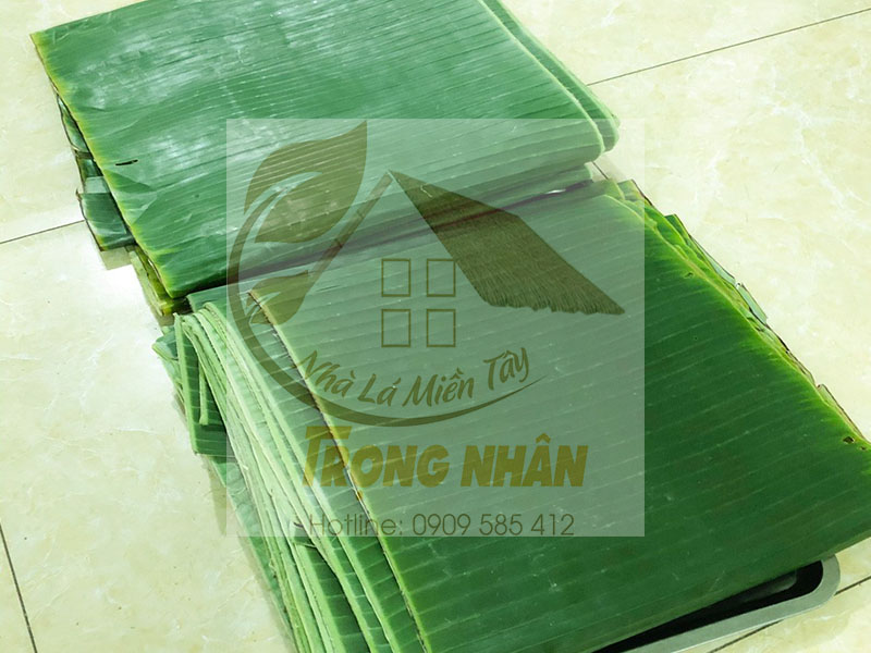 Lá Chuối Tươi Với Các Công Dụng Thần Kỳ
