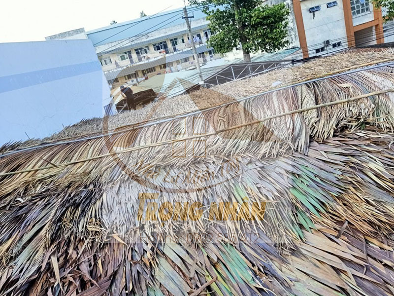 Tại sao lá dừa lại được chọn dùng để lợp mái mà không phải là loại vật liệu khác?