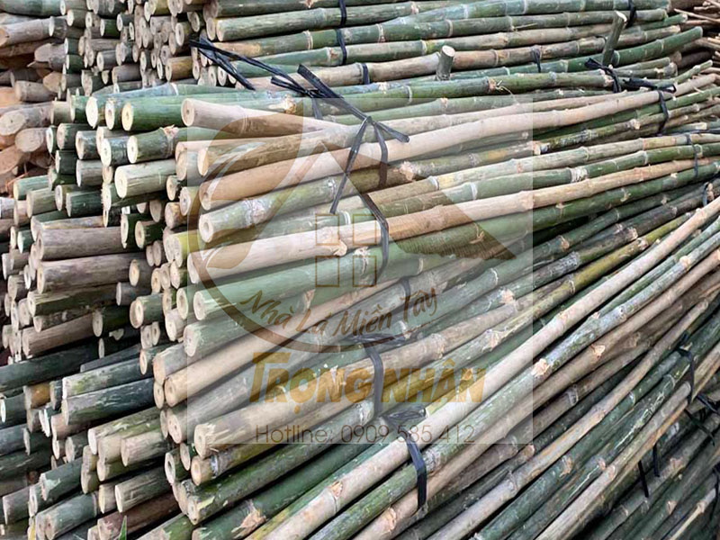 Chọn mua cây tầm vông và các sản phẩm từ cây tầm vông với Nhà Lá Miền Tây