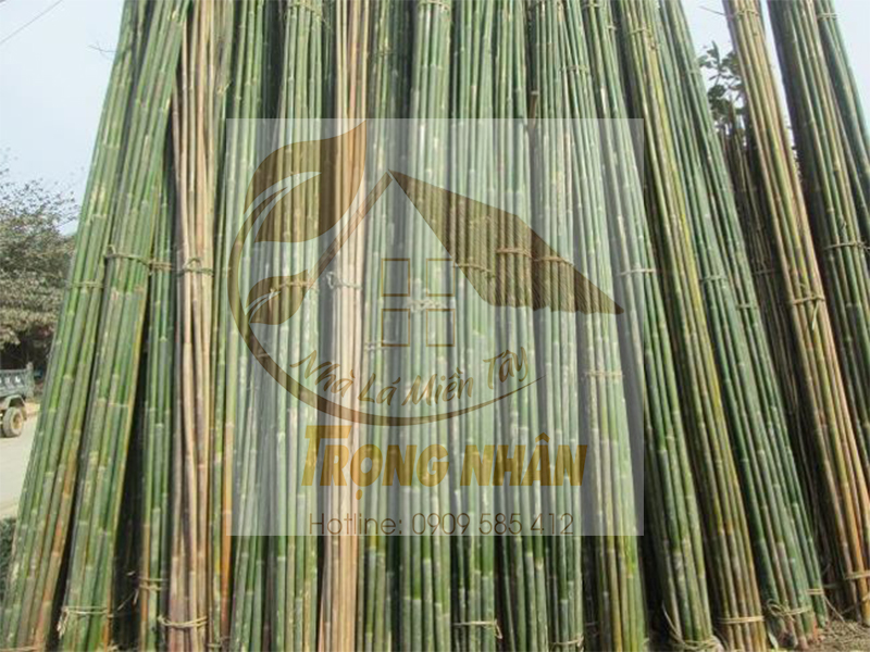 Nội thất làm từ cây nứa trong Phong Thủy