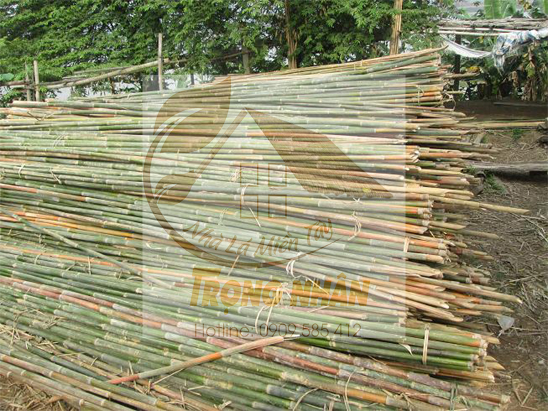 Nhị màu vàng tươi với bao phấn bên trong