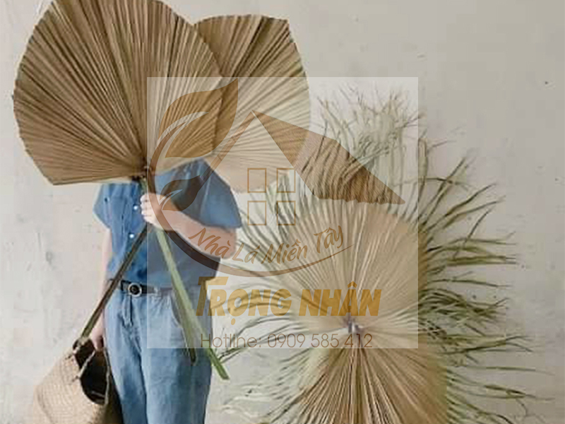 Địa chỉ đặt mua lá cọ khô số lượng lớn giá rẻ