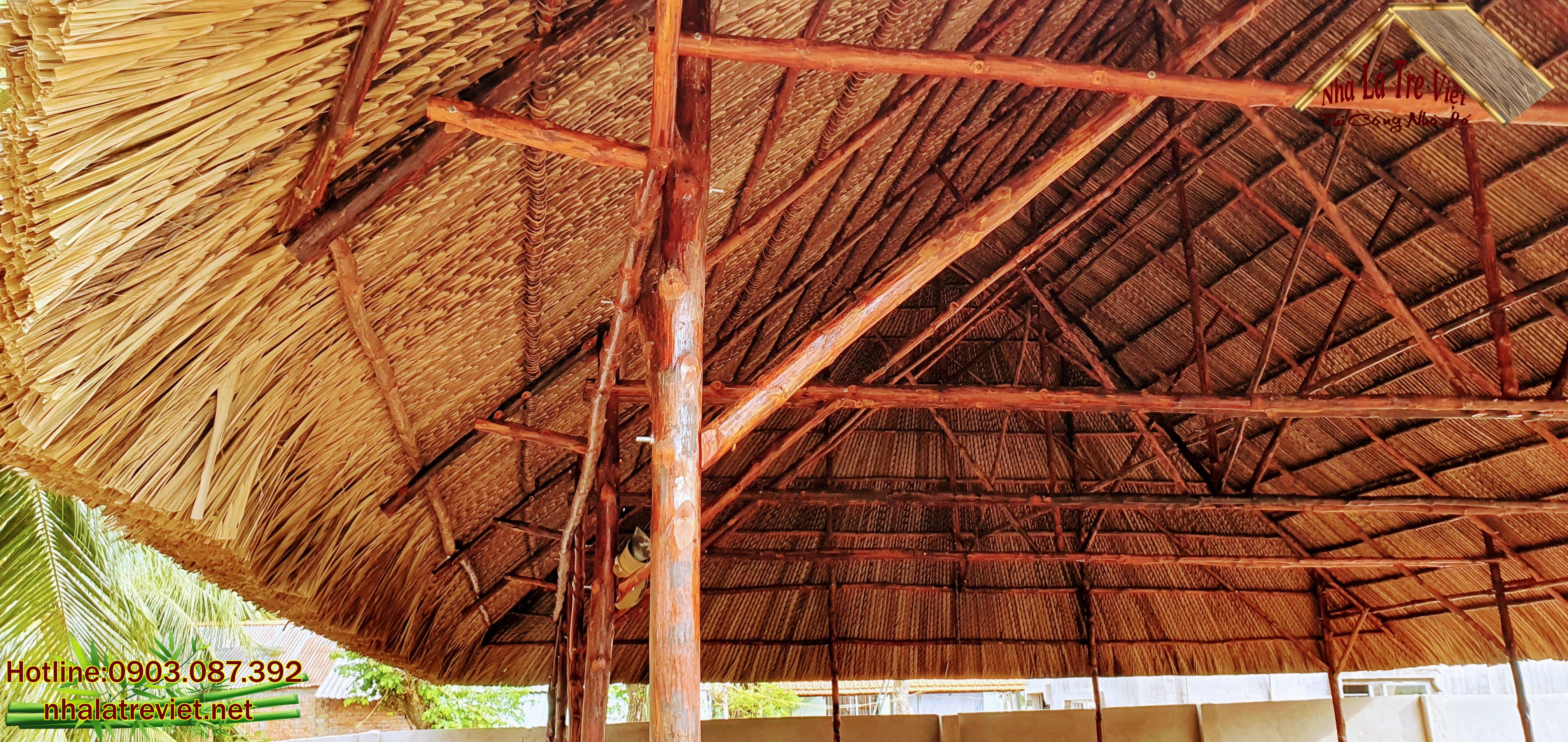 Cây đước có tác dụng gì