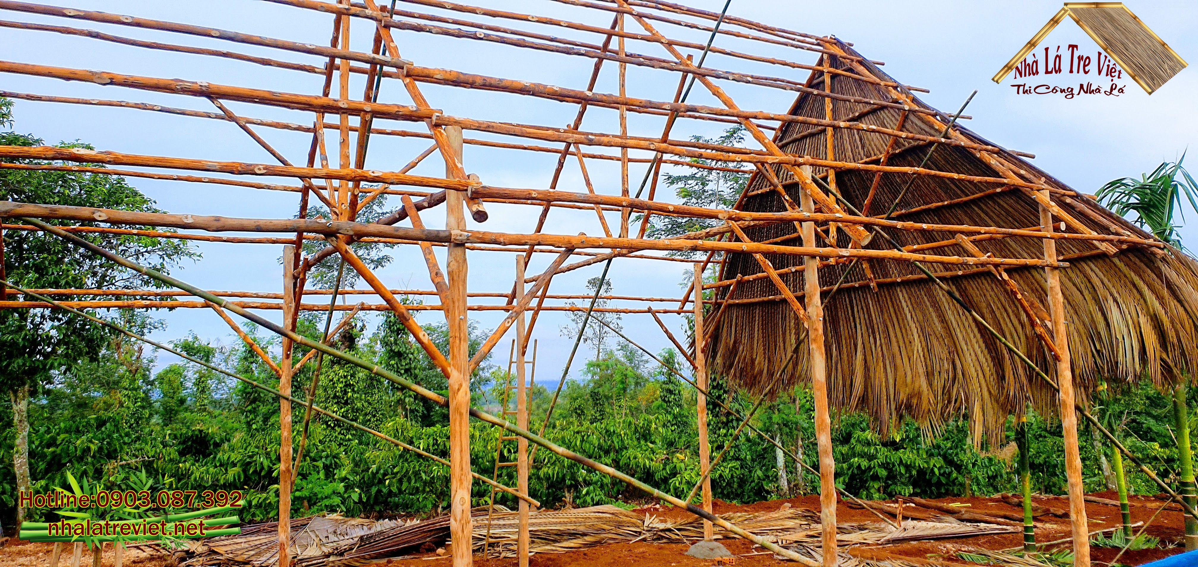 Đặc điểm của cây đước