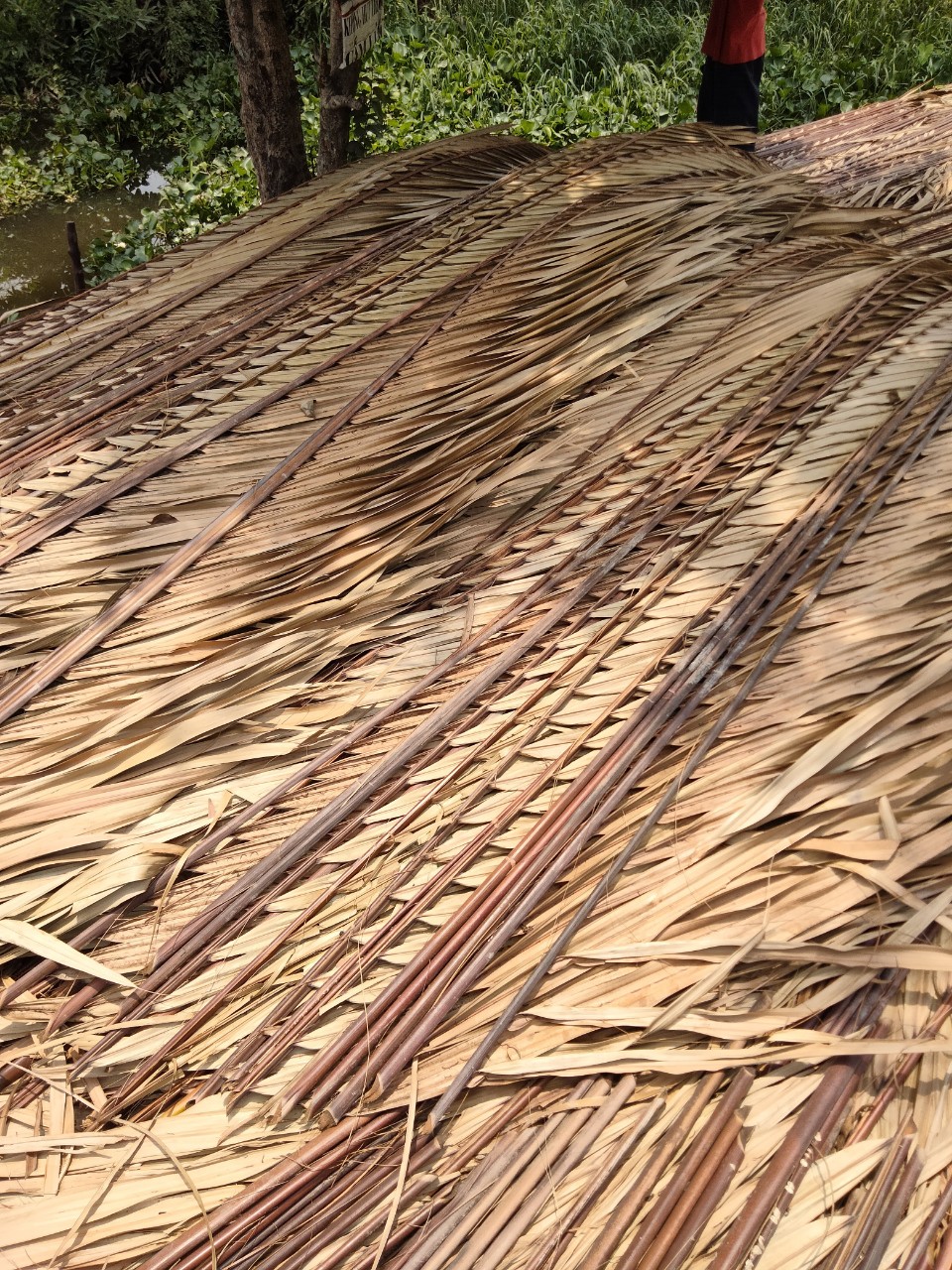 mua lá dừa lợp nhà ở đâu