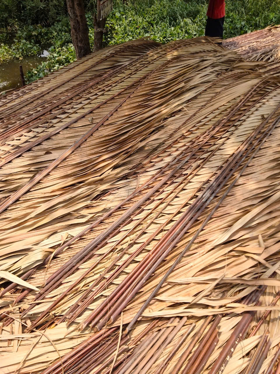 giá lá dừa lợp nhà
