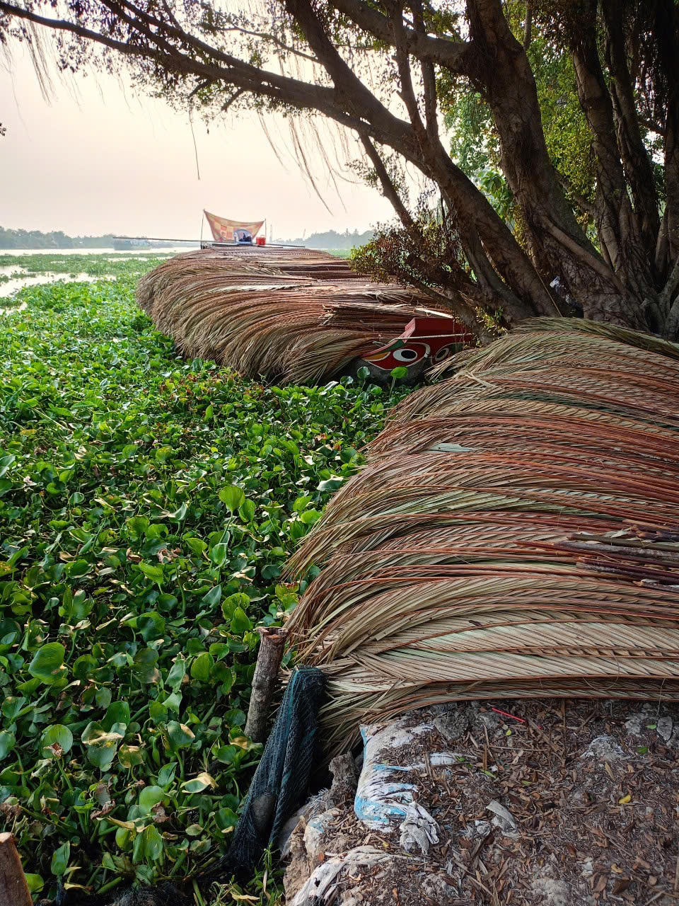 giá lá dừa lợp nhà